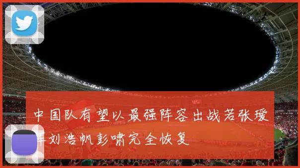 中国队有望以最强阵容出战若张瑷晖刘浩帆彭啸完全恢复