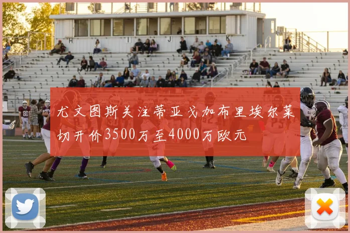 尤文图斯关注蒂亚戈加布里埃尔莱切开价3500万至4000万欧元